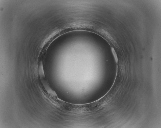 X0000062930488200601131515