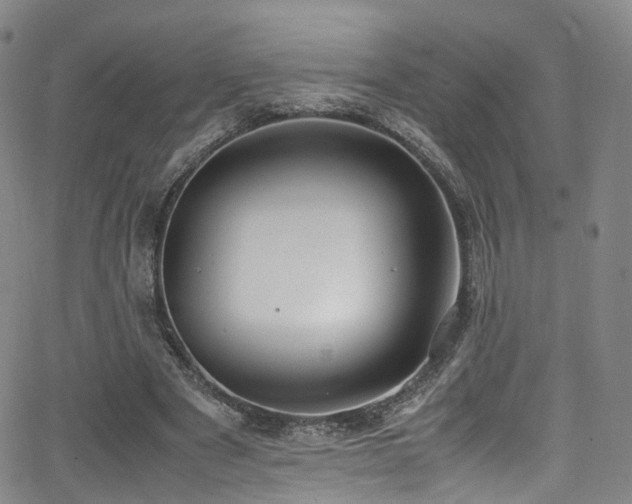 X0000062930489200601131515