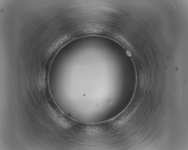 X0000062930490200601131515