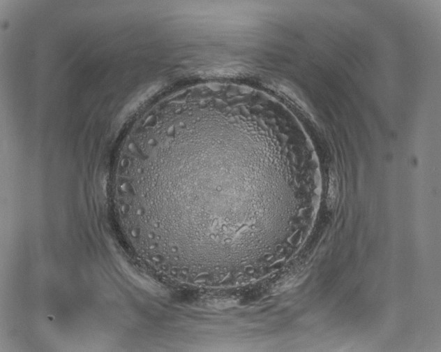 X0000062930491200601131515