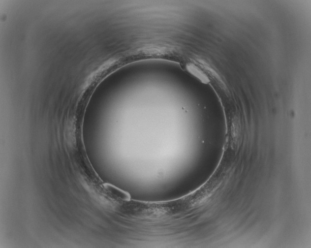 X0000062930492200601131515