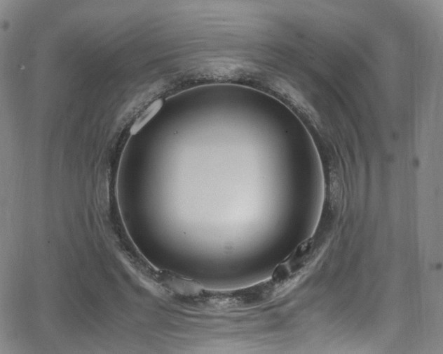 X0000062930493200601131515