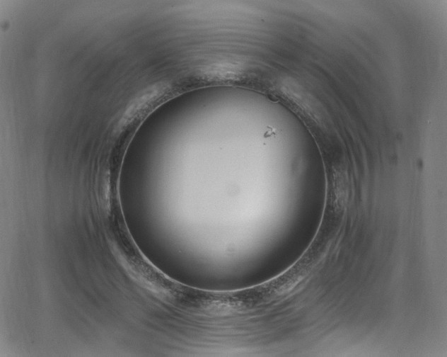 X0000062930494200601131515