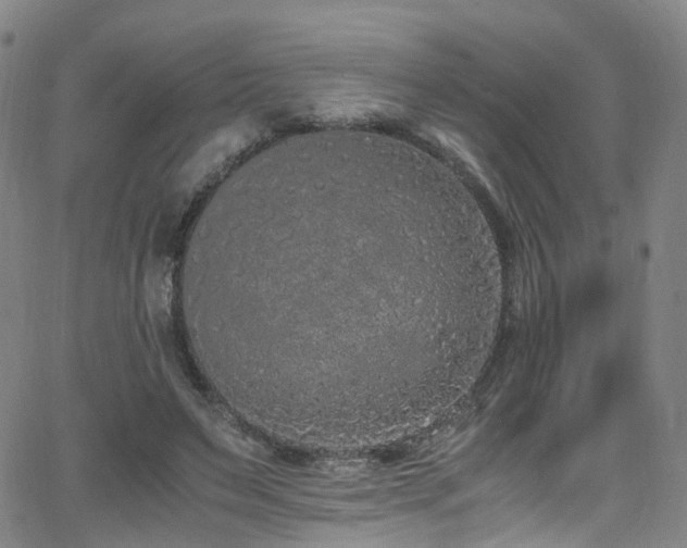 X0000062930495200601131515