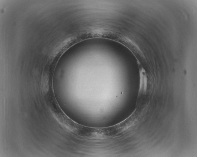 X0000062930496200601131515