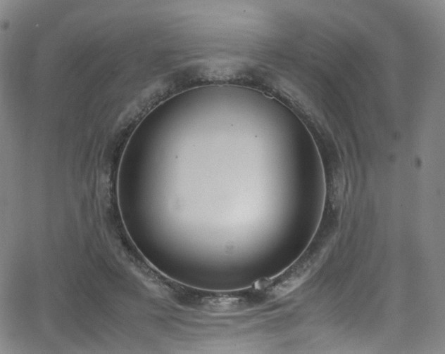 X0000062930497200601131515