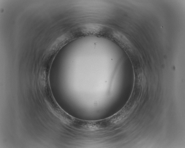 X0000062930498200601131515