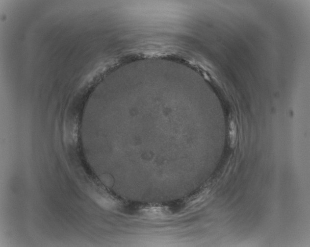 X0000062930499200601131515