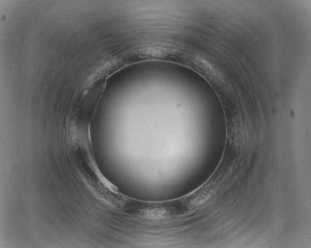 X0000062930500200601131515