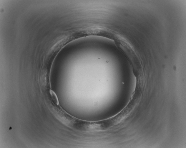 X0000062930501200601131515