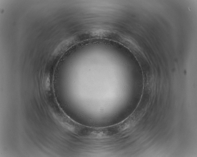 X0000062930502200601131515