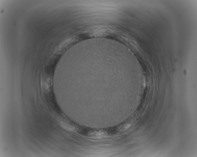 X0000062930503200601131515