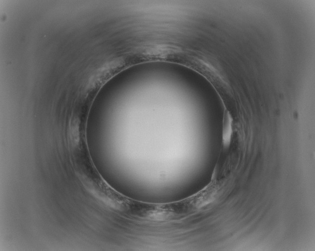 X0000062930504200601131515