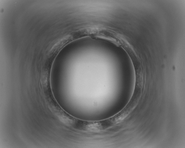 X0000062930505200601131515