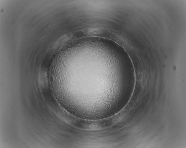 X0000062930506200601131515