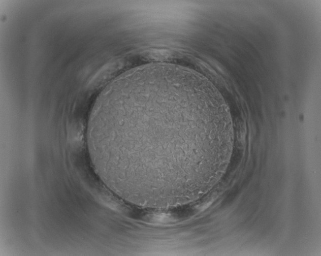 X0000062930507200601131515