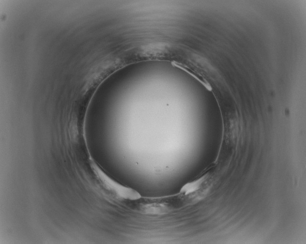 X0000062930508200601131515