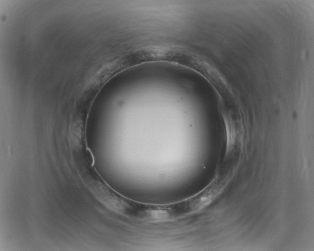 X0000062930509200601131515