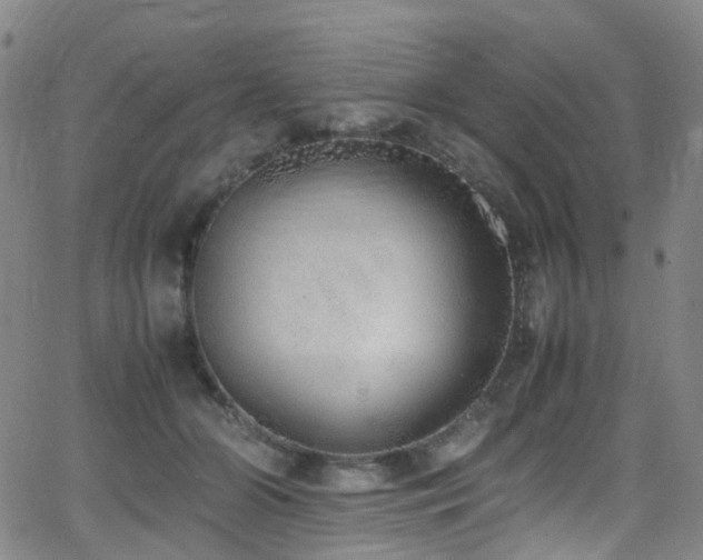 X0000062930510200601131515