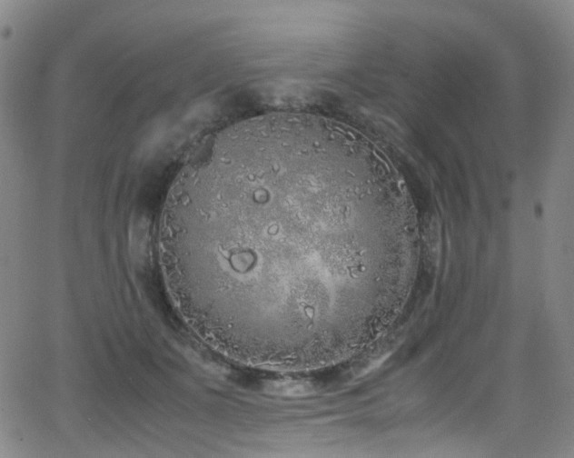 X0000062930511200601131515