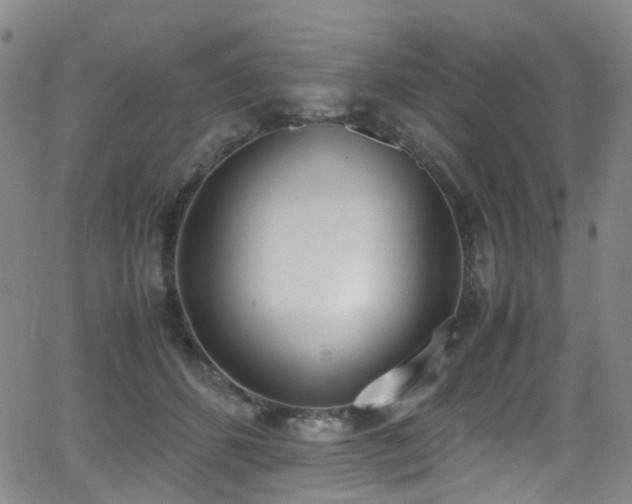 X0000062930512200601131515