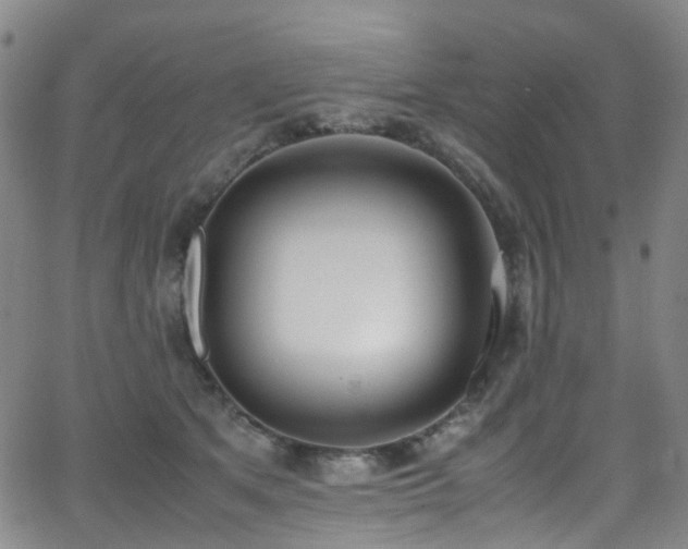 X0000062930513200601131515