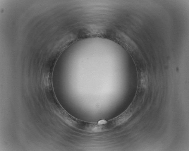 X0000062930514200601131515