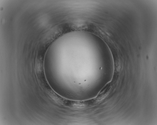 X0000062930515200601131515