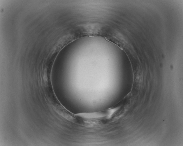 X0000062930516200601131515