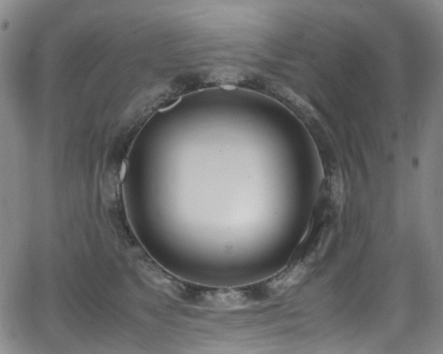 X0000062930517200601131515