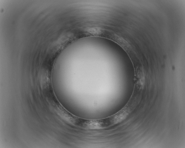 X0000062930518200601131514