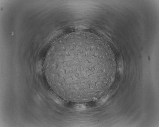 X0000062930519200601131514