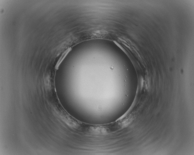 X0000062930520200601131514