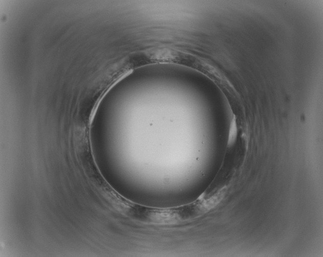 X0000062930521200601131514