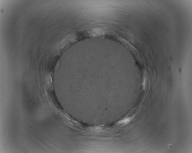 X0000062930523200601131514