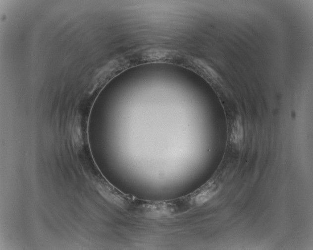 X0000062930524200601131514