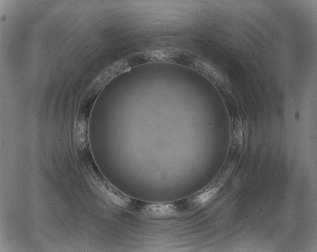 X0000062930526200601131514