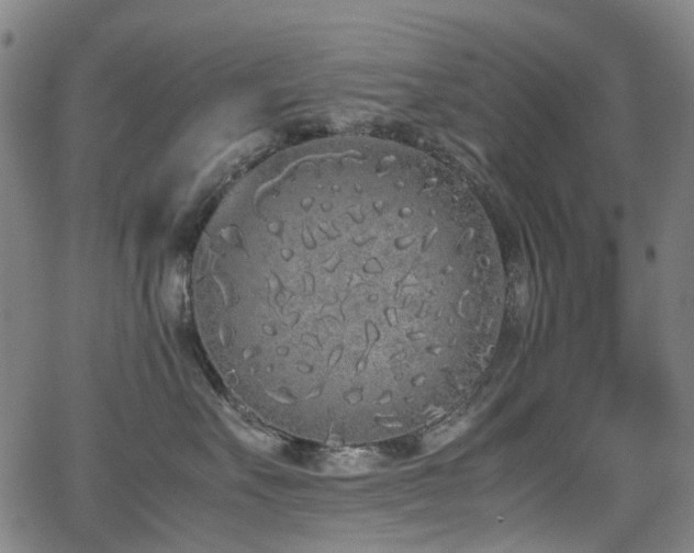 X0000062930527200601131514