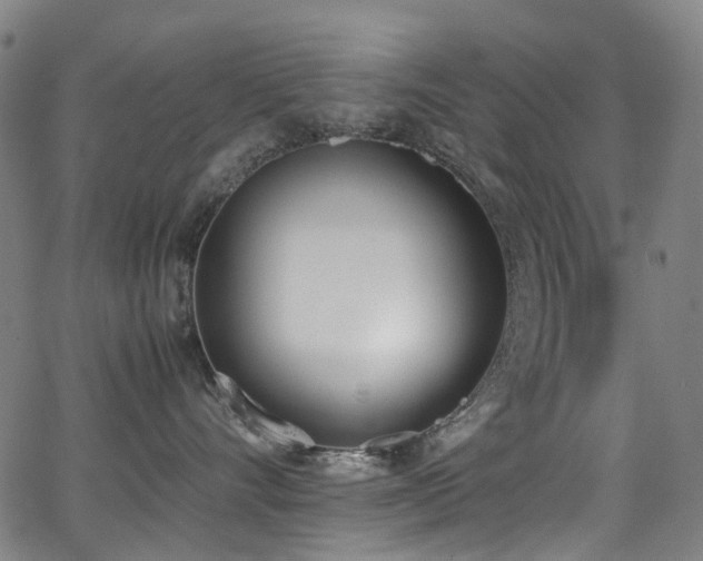 X0000062930528200601131514