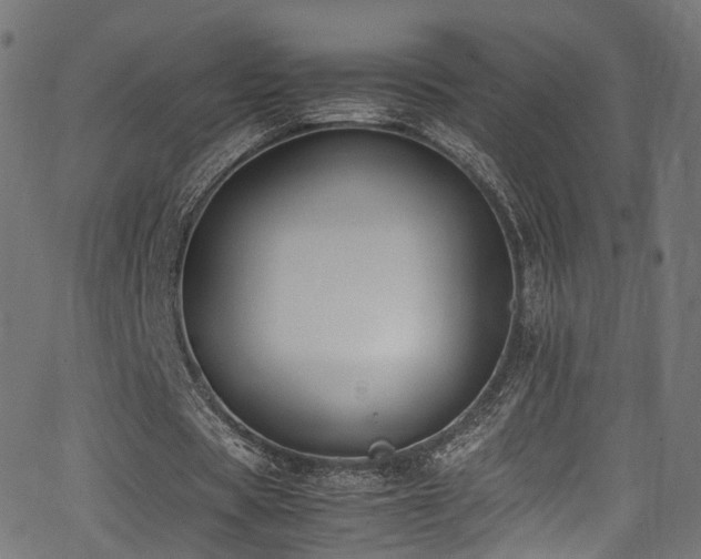 X0000062930529200601131514