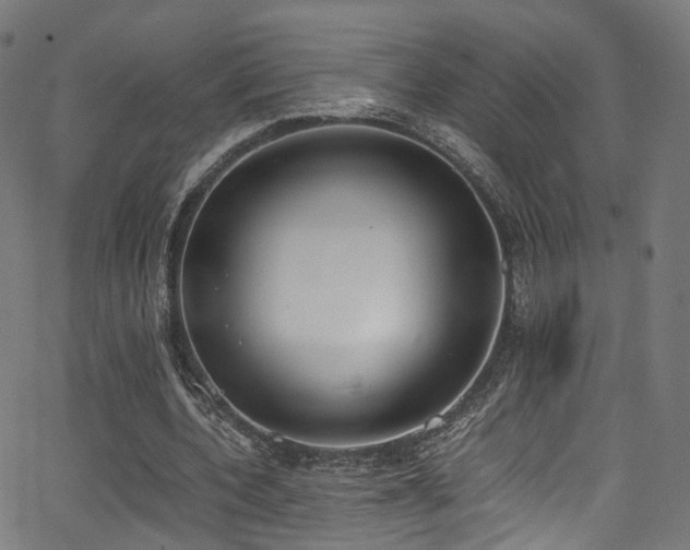 X0000062930532200601131514