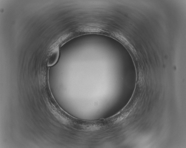 X0000062930533200601131514