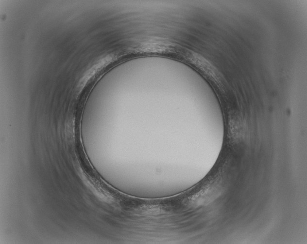 X0000062930534200601131514