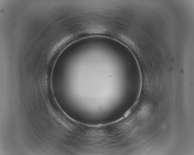 X0000062930535200601131514