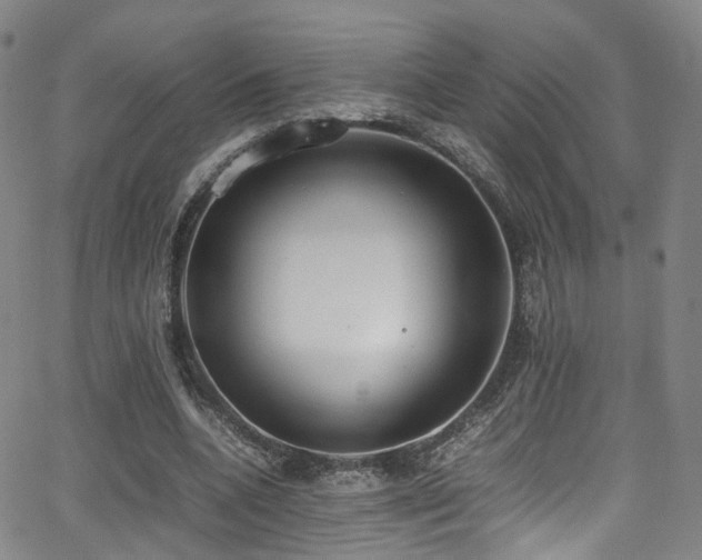 X0000062930536200601131514