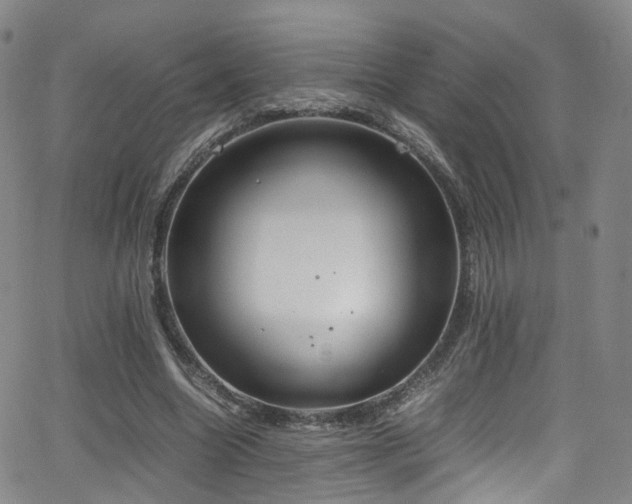 X0000062930538200601131514