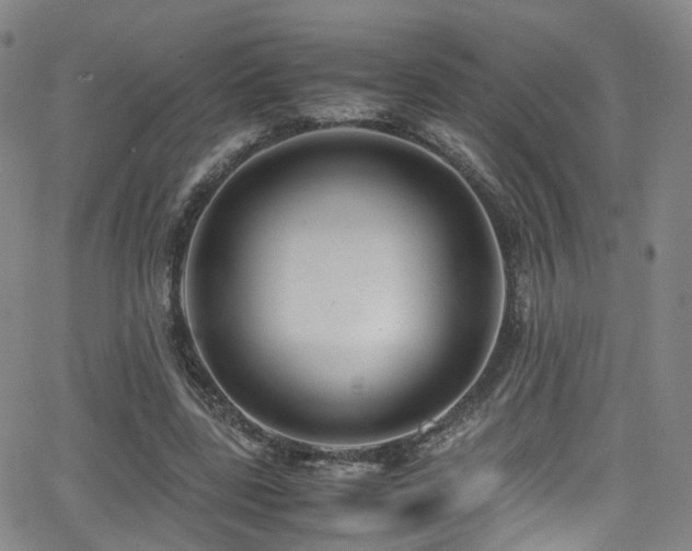 X0000062930539200601131514