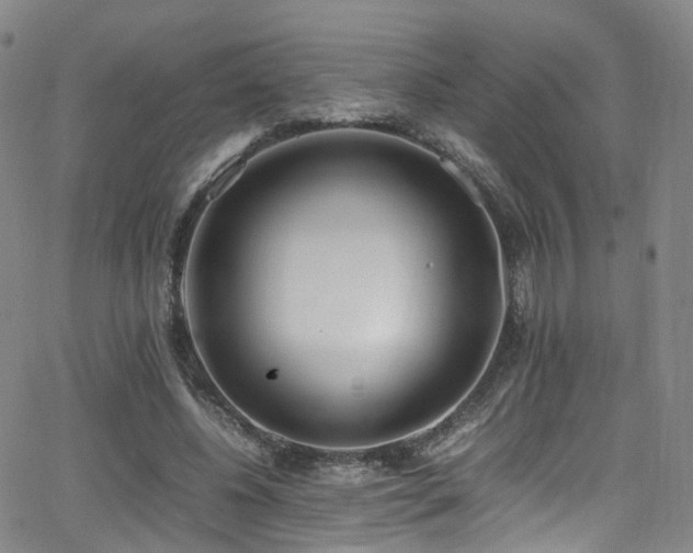 X0000062930540200601131514