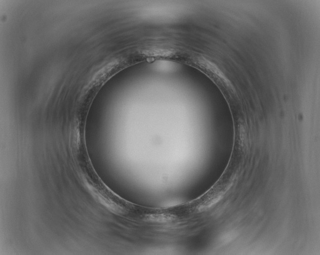 X0000062930541200601131514