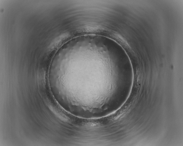 X0000062930542200601131514